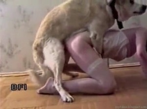 Старый фильм про секс милой извращенки с собакой