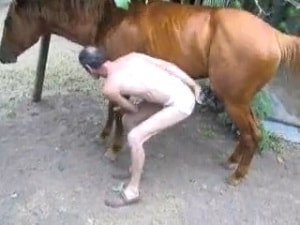 Конь отпетушил голозадого мужика в зад